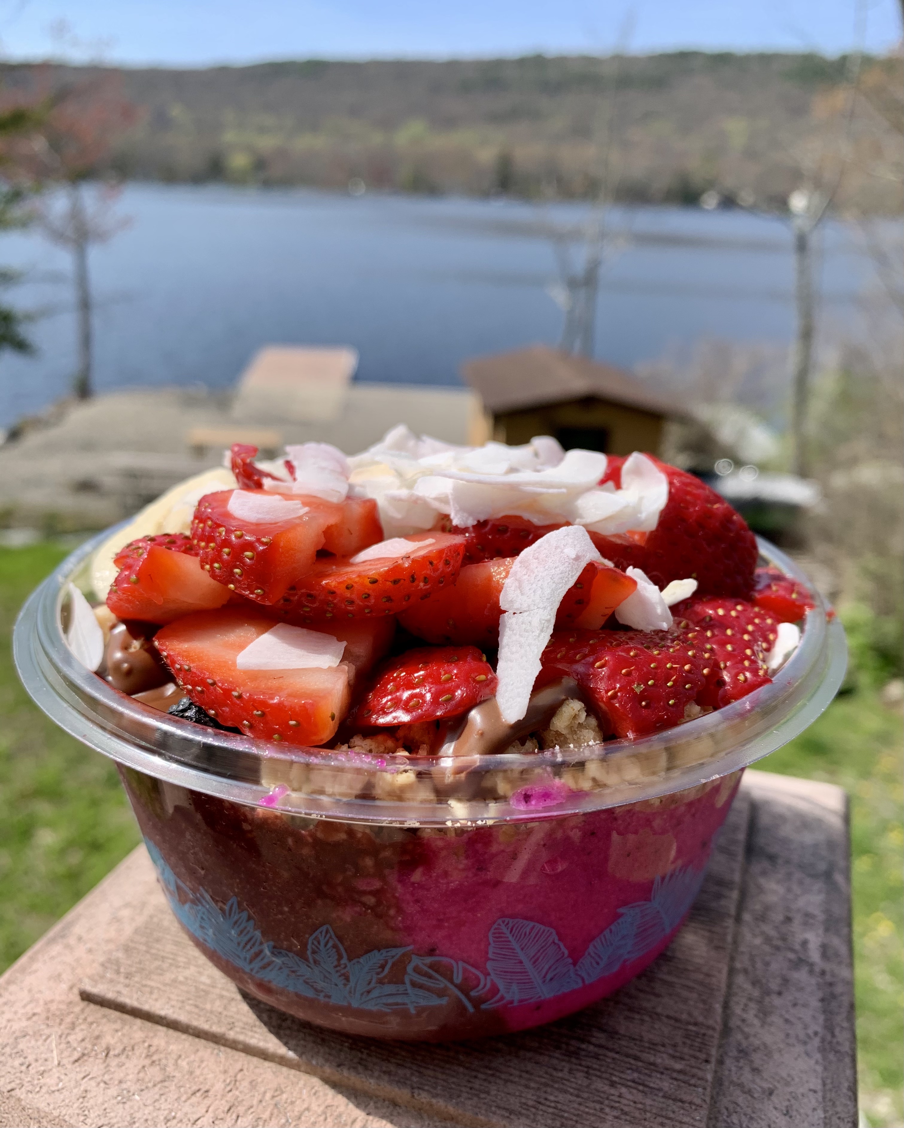 fruit filled playa bowl, sitting on a deck post overlooking the lake in NJ
